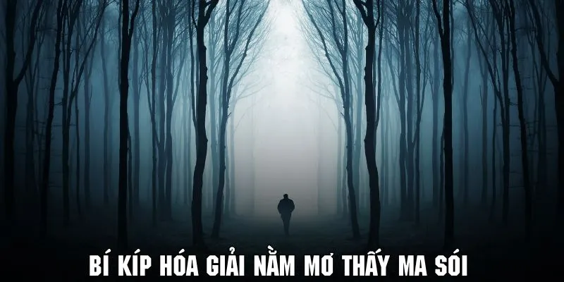 nam-mo-thay-ma-bi-kip-hoa-giai